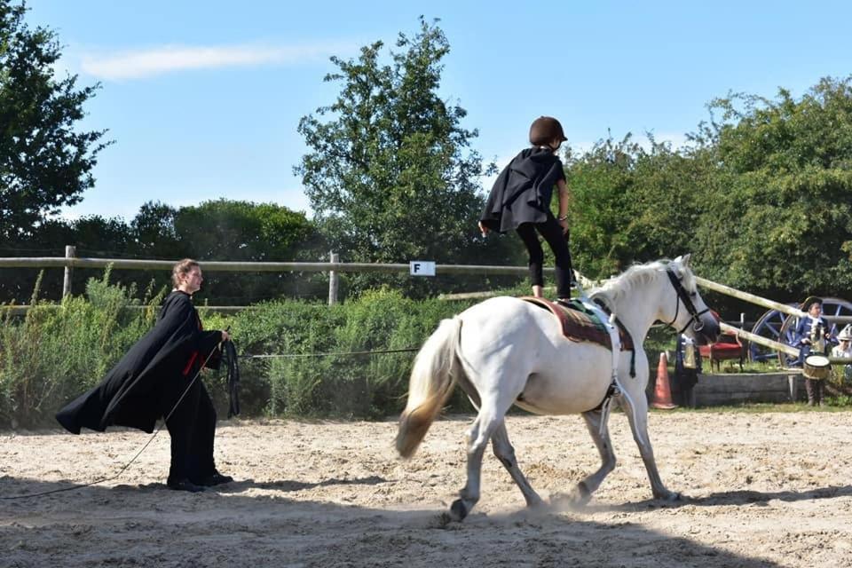Ecuries Leseigneur - Camping Insolites Bolleville  Eksteriør billede