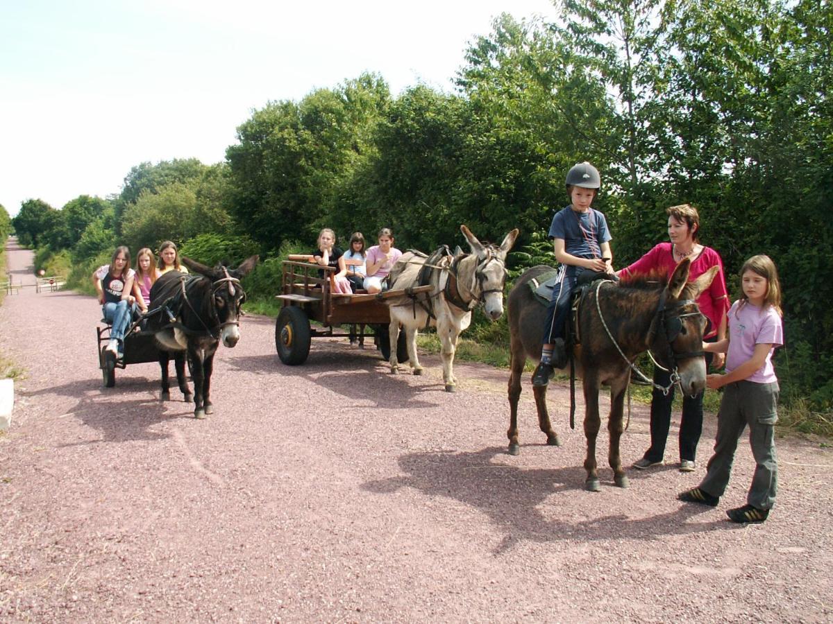 Ecuries Leseigneur - Camping Insolites Bolleville  Eksteriør billede
